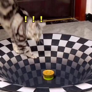 3D Vision Trap Mat for Pets-سجادة الوهم البصري-لحيوانك